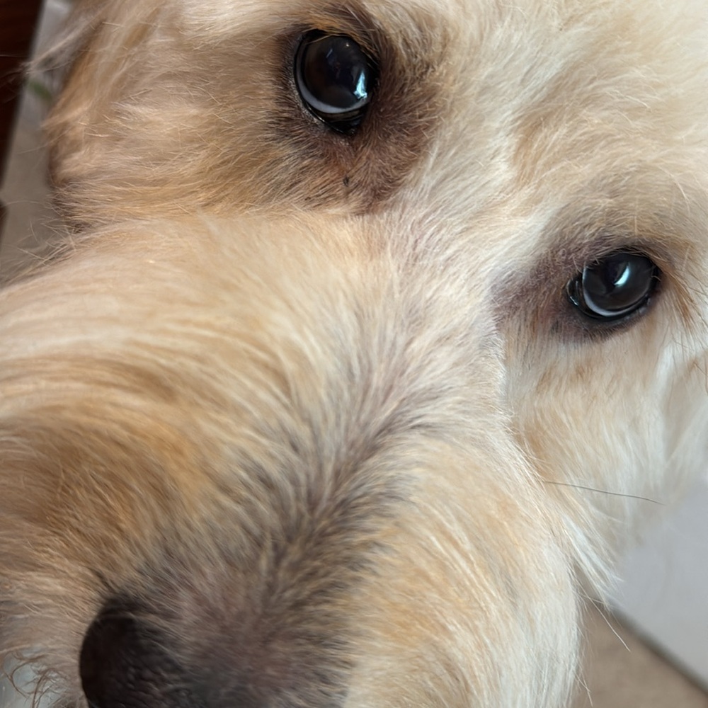 5 items for $20 on all marked 5/$20 - These are final price items